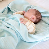 Goose Waddle Mint Blanket