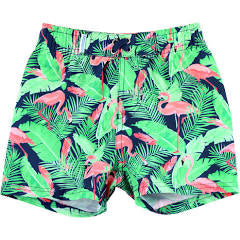 Flamingo frenzy swim trunks