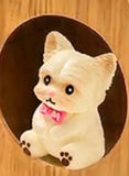 Taba Squishy- Dog and Cats