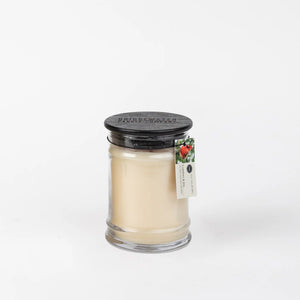 Comfort & Joy Candle - Bridgewater Candle Co - 18.5 oz