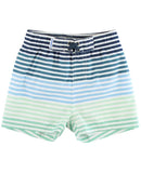 Coastal Stripe Swim